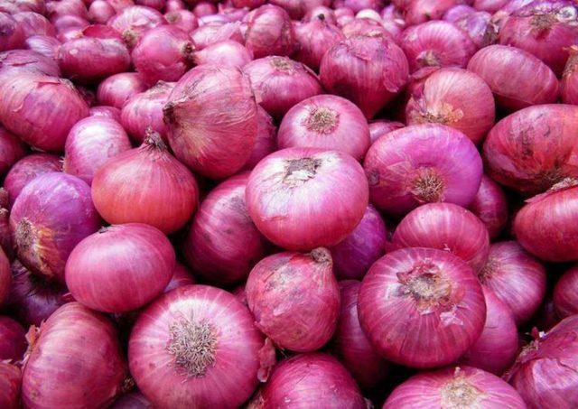 Red-Onions-e1478729818425