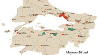 Marmara Bölgesi haritası nasıl? Marmara Bölgesi’ndeki illeri ve sınırları gösteren siyasi haritasında neler var?