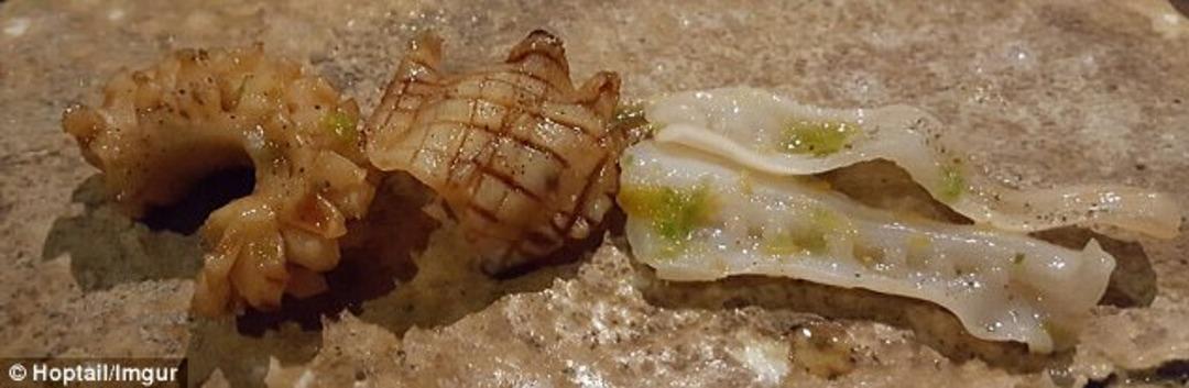 &Uuml;niversite &ouml;ğrencisinin bu yemekler i&ccedil;in harcadığı para şaşkına &ccedil;eviriyor