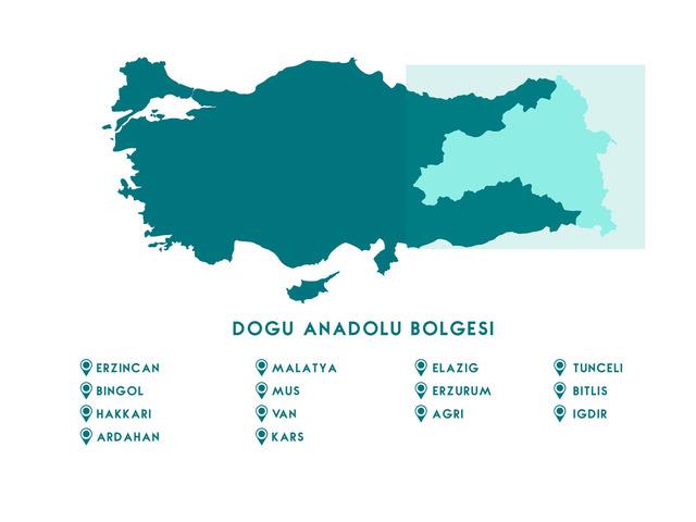 Doğu Anadolu Bölgesi haritası nasıl? Doğu Anadolu Bölgesi’ndeki illeri ve sınırları gösteren siyasi haritasında neler var?