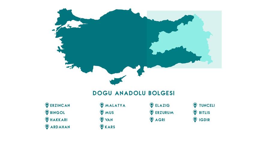 Doğu Anadolu Bölgesi haritası nasıl? Doğu Anadolu Bölgesi’ndeki illeri ve sınırları gösteren siyasi haritasında neler var?