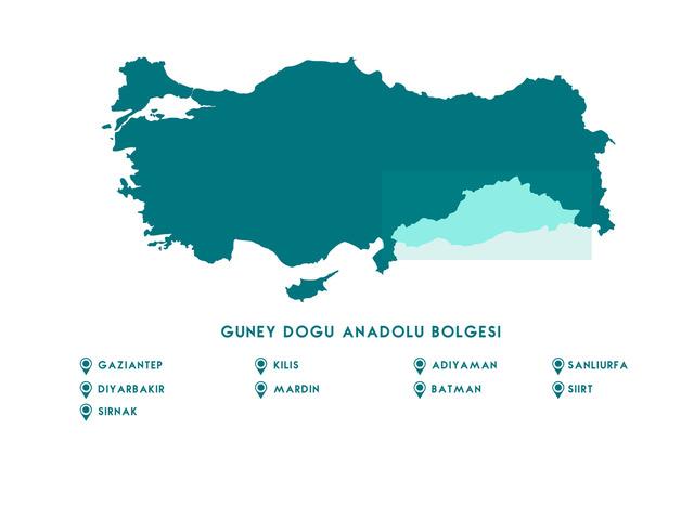 Güneydoğu Anadolu Bölgesi haritası nasıl? Güneydoğu Anadolu Bölgesi’ndeki illeri ve sınırları gösteren siyasi haritasında neler var?