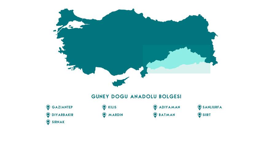 Güneydoğu Anadolu Bölgesi haritası nasıl? Güneydoğu Anadolu Bölgesi’ndeki illeri ve sınırları gösteren siyasi haritasında neler var?