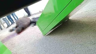 Kan donduran cinayet! Yol ortasında başından vurularak öldürüldü