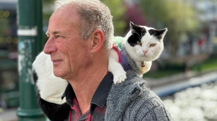 "Herhalde Türkiye'nin en gezenti ve en çok kilometre yapan kedisi bu" Görenler tebessümle karşılayıp şaşırıyor! "En çok sordukları soru..."