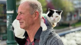 Herhalde Türkiye'nin en gezenti ve en çok kilometre yapan kedisi bu Görenler tebessümle karşılayıp şaşırıyor! En çok sordukları soru...