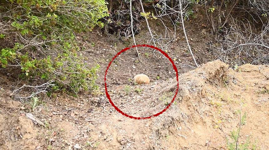 Çanakkale Savaşı'ndan kalma top mermisi imha edildi!