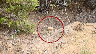 Çanakkale Savaşı'ndan kalma top mermisi imha edildi!