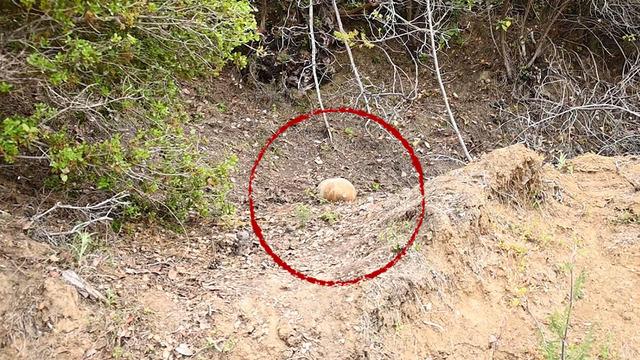 Çanakkale Savaşı'ndan kalma top mermisi imha edildi!