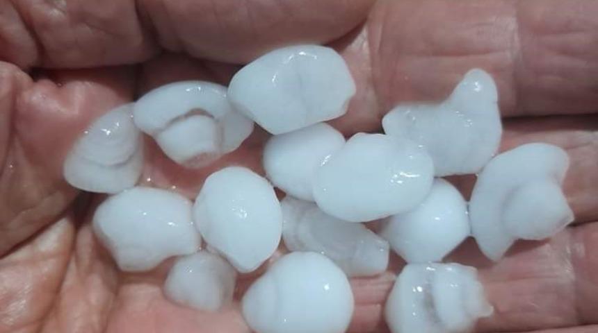 Sarıg&ouml;l&rsquo;de dolu zararı