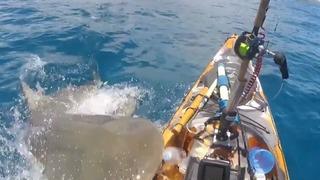 Korku dolu anlar saniye saniye kamerada! Köpek balığı balıkçının teknesine saldırdı... Ayağıyla vurarak kendisini kurtardı