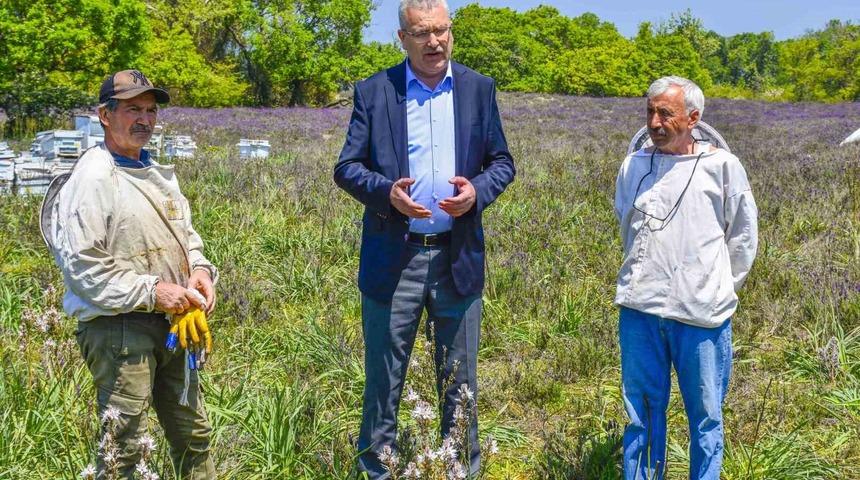 Karacabey’de Longoz ormanlarında görsel şölen