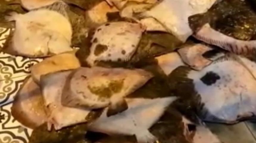 Tanesi 2 bin liradan fazla! Kaçak yakalanan balıklara el konuldu, 3 kişiye ceza yağdı