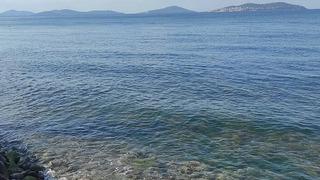 'Felaket senaryosu' Türkiye'de dünya ortalamasını geçti! Uzmanlar o tehlikeye dikkat çekti