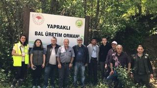 Türkeli’de ’avcı böcekler’ iş başında