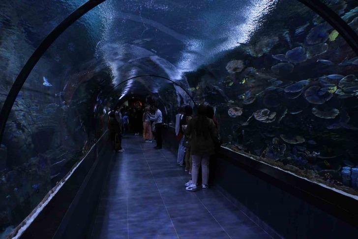 Trabzon Akvaryumu’nu bir yılda 293 bin 718 kişi ziyaret etti G4