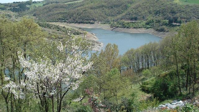 İSKİ BARAJ DOLULUK ORANLARI 21 Mayıs 2023: İstanbul'da barajlardaki doluluk oranı ne kadar? Son veriler!