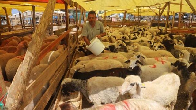 Kurban Bayramı ne zaman 2023? Kurban Bayramı tatili kaç gün olacak? Diyanet takvimi 