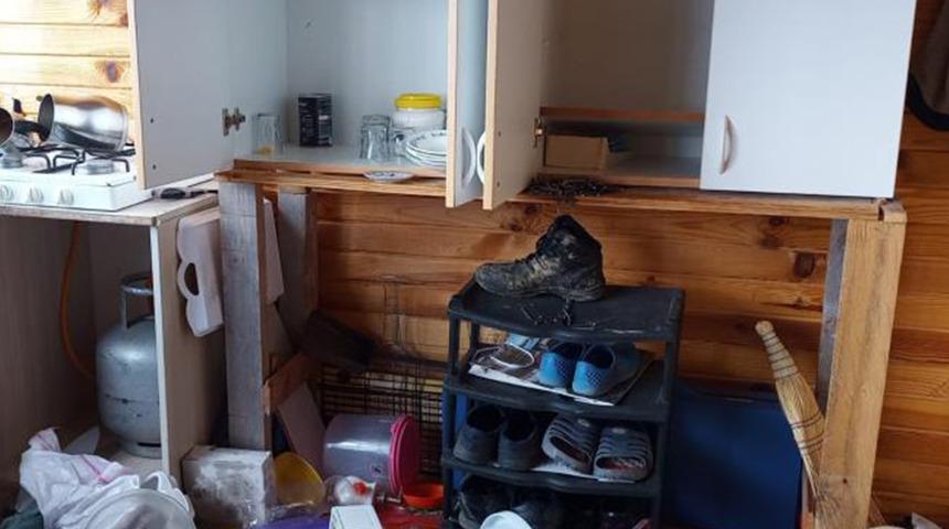 Aç kalan ayılar Artvin'de yayla evlerini talan etti