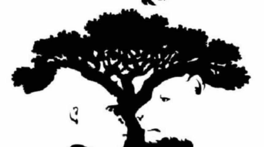 Optik ill&uuml;zyonda g&ouml;rd&uuml;ğ&uuml;n&uuml;z ilk hayvan karakter &ouml;zelliklerinizi belirliyor