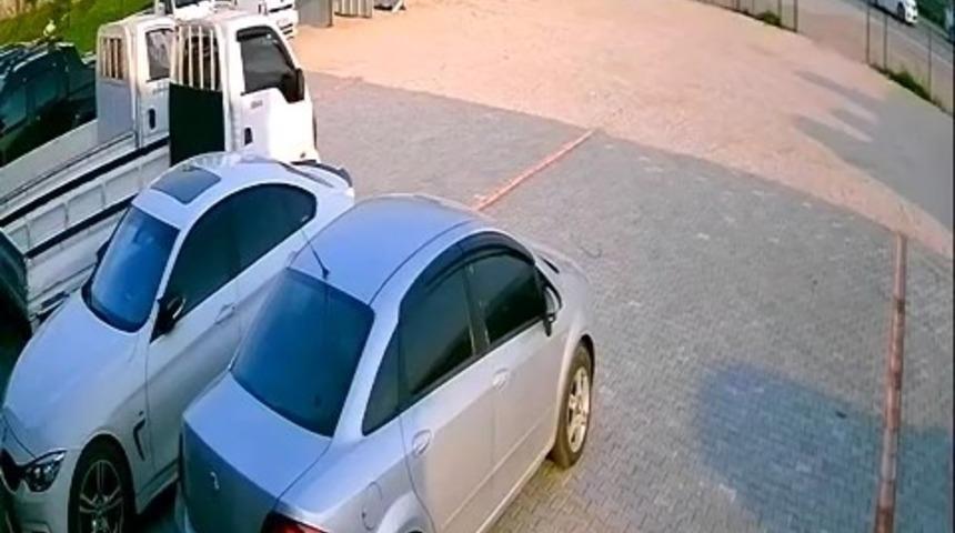 Bursa’da başıboş at böyle kaza yaptı, telef oldu