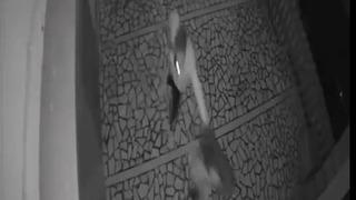 Genç kıza kabusu yaşattı, sosyal medya ayağa kalktı! Önce tokatladı, sonra saçından tutup...