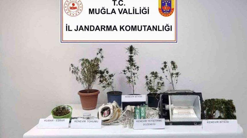 Bodrum, Milas ve Seydikemer’de uyuşturucu operasyonu