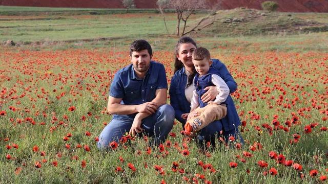 Oltu’da gelincik şöleni