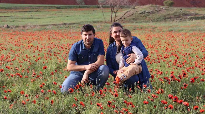 Oltu’da gelincik şöleni