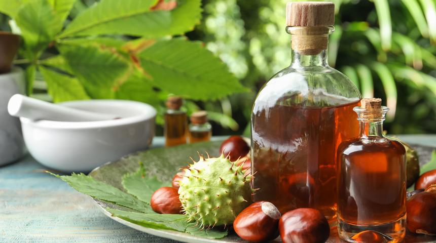 At kestanesinin faydaları nelerdir? At kestanesi ağrılara iyi gelir mi?