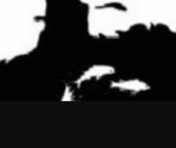 Optik illüzyonda gördüğünüz ilk hayvan kişilik özelliklerinizi ortaya çıkarıyor! Goril, kuş, aslan, balık... G4