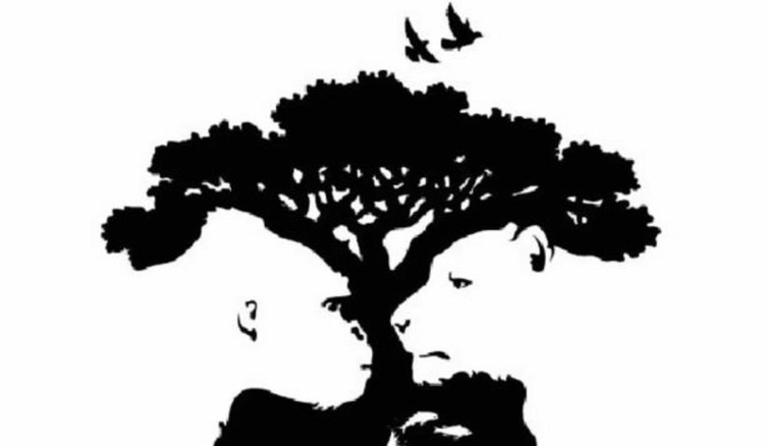 Optik ill&uuml;zyonda g&ouml;rd&uuml;ğ&uuml;n&uuml;z ilk hayvan kişilik &ouml;zelliklerinizi ortaya &ccedil;ıkarıyor! Goril, kuş, aslan, balık...