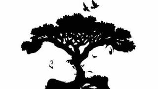 Optik illüzyonda gördüğünüz ilk hayvan kişilik özelliklerinizi ortaya çıkarıyor! Goril, kuş, aslan, balık...