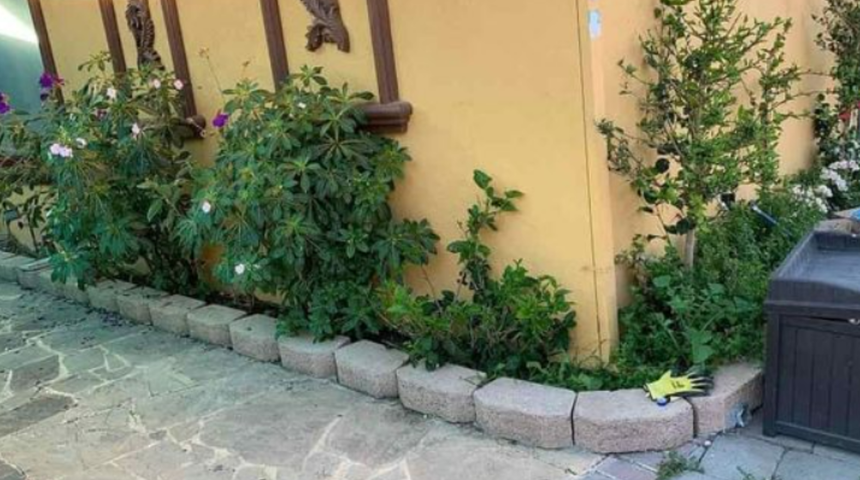 Resimde saklanan kediyi &ccedil;ok az kişi g&ouml;rebiliyor! 10 saniye i&ccedil;erisinde bulabilirseniz keskin g&ouml;zlere sahipsiniz demektir