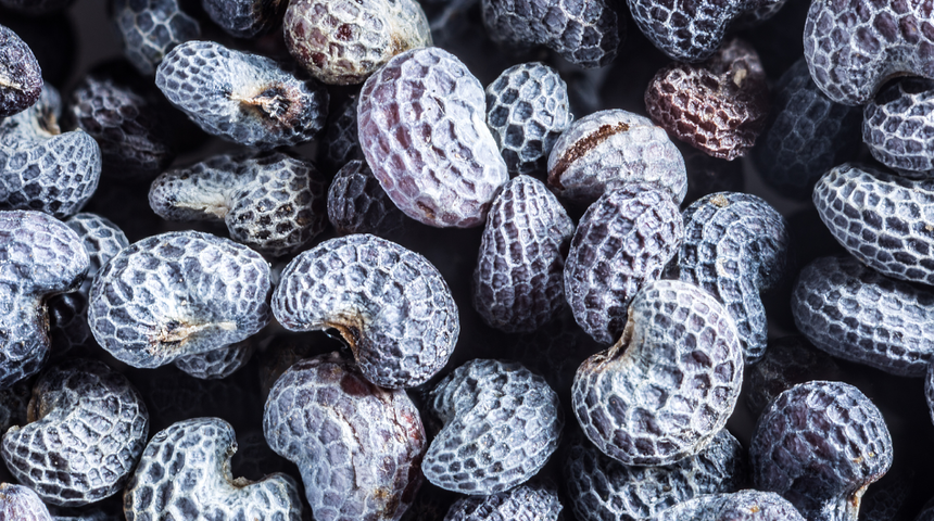 Balıktan daha fazla Omega-3 içeriyor! Vücudu vitamin bombasına çeviriyor