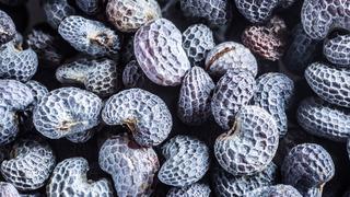 Balıktan daha fazla Omega-3 içeriyor! Vücudu vitamin bombasına çeviriyor