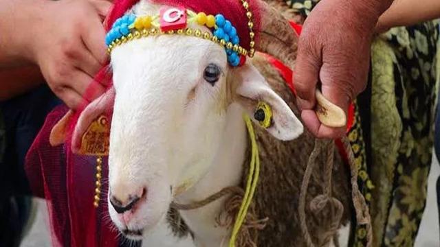 Kurban Bayramı ne zaman, kaç gün kaldı? Kurban Bayramı arife günü hangi tarihe denk geliyor?