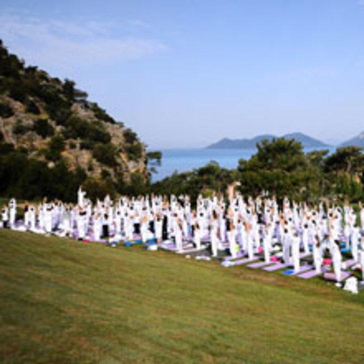 21 Aralık'a Az Kaldı!