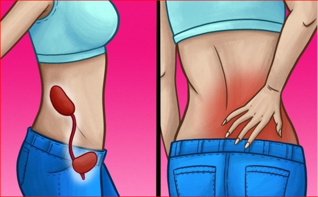 B&ouml;breklerinizin d&uuml;zg&uuml;n &ccedil;alışmadığını g&ouml;steren belirtiler