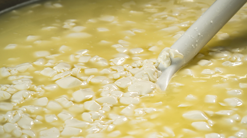 Hazineyi çöpe atıyormuşuz! Bu vitamin bombası hastalıklara karşı kalkan oluyor