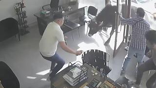 Mezbahadan kaçan dana, emlakçıya girince... O anlar kamerada!