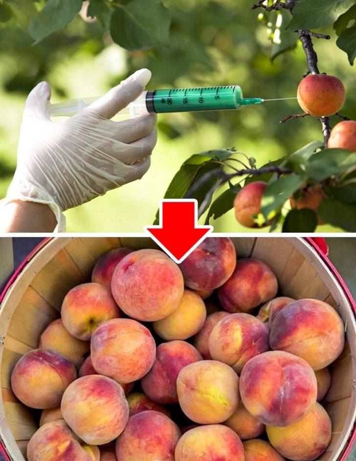 Market rafları zehir saçıyor!  G4