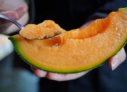 Bu kavunlar tam 25 bin dolar! İlk hasat Yubari kavunları satışa sunuldu