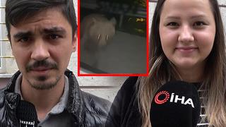 Korku dolu anlar! Hiç beklemediği bir tepkiyle karşılaştılar, bir daha o yolu kullanmak istemiyorlar... Ne geliyorsa başımıza meraktan geliyor”