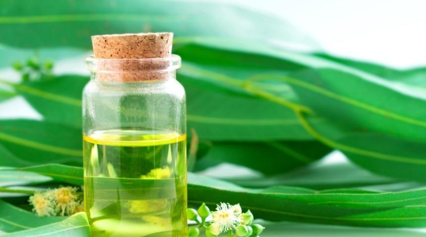 Hem yağı, hem çayı mucize