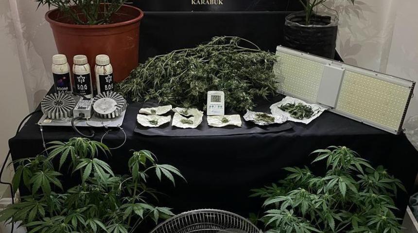 Karabük'te kenevir yetiştirmek için evin odalarına özel düzenek kuran 2 şüpheli yakalandı