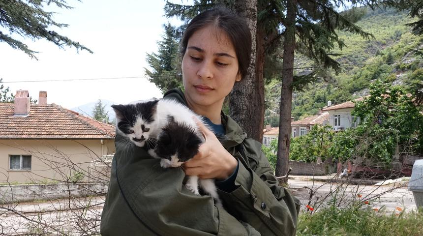 Isparta'da kan donduran vahşet! 4 ayağı kesilmiş halde bulundu...