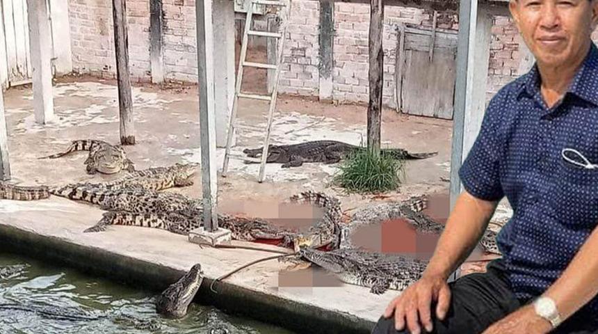 Timsahların olduğu havuza düşen çiftçinin sonu feci bitti! Geriye sadece tek bir ayakkabısı kaldı