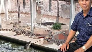 Timsahların olduğu havuza düşen çiftçinin sonu feci bitti! Geriye sadece tek bir ayakkabısı kaldı