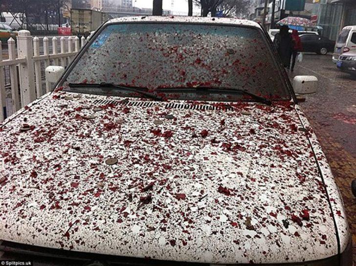 Yanlış yere park etmenin cezası ağır oldu!  G5